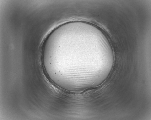 X0000064751504200603031720