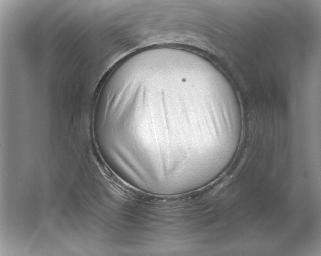 X0000064751505200603031720