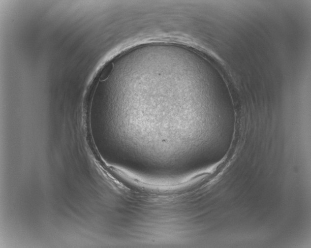 X0000064751506200603031720