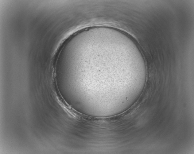 X0000064751507200603031720