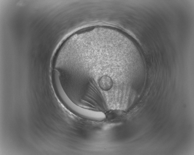 X0000064751508200603031720