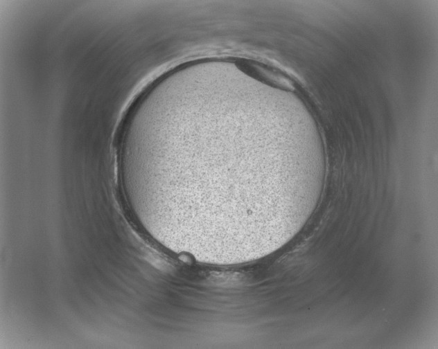 X0000064751509200603031720