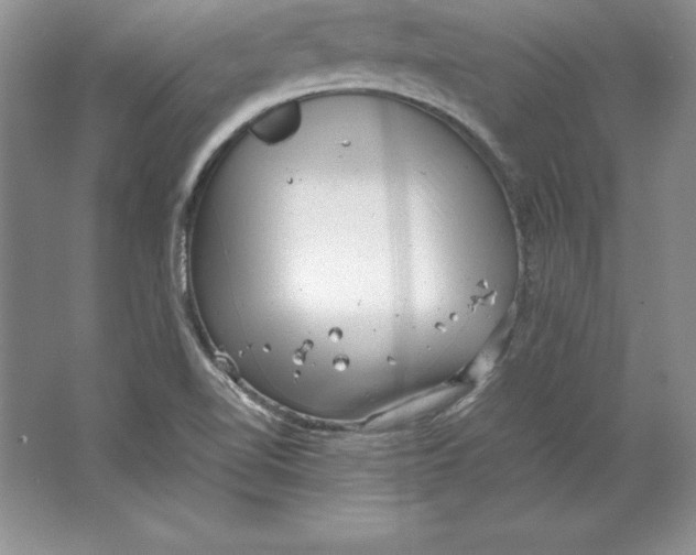 X0000064751510200603031720