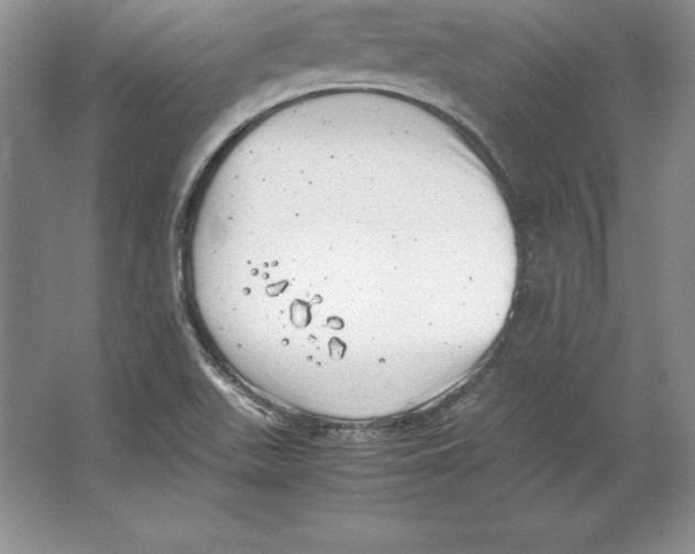 X0000064751511200603031720