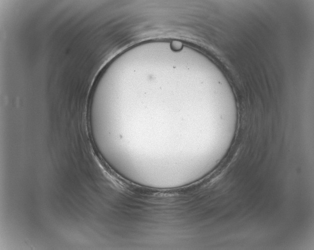 X0000064751513200603031720