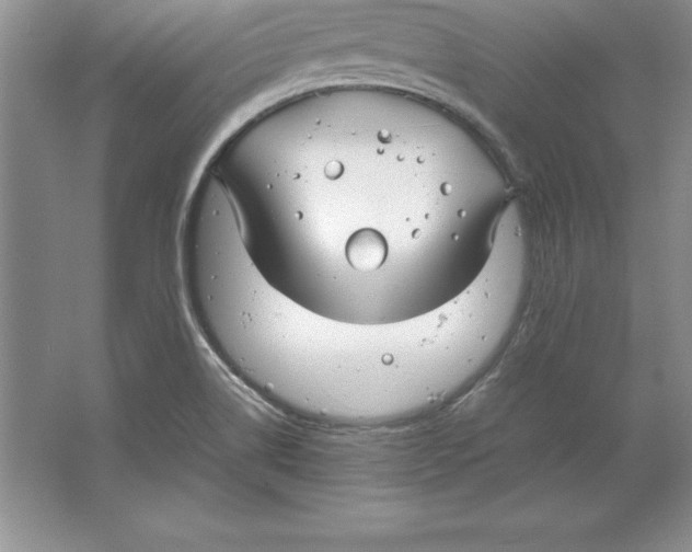 X0000064751514200603031720