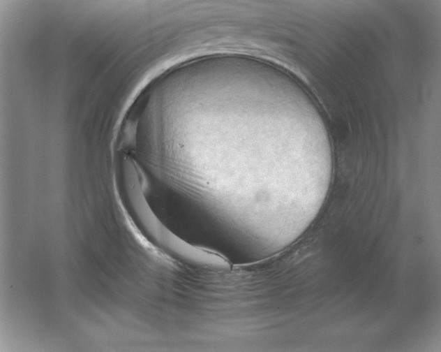 X0000064751515200603031720