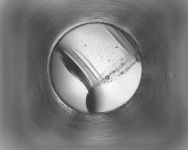 X0000064751516200603031720