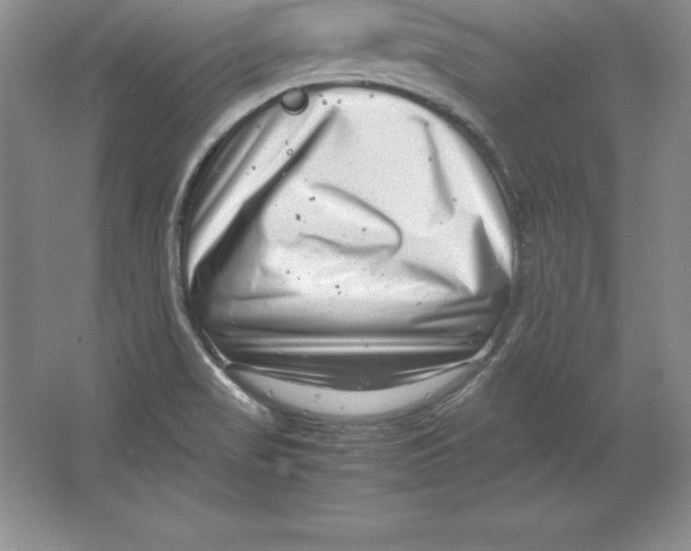 X0000064751517200603031720