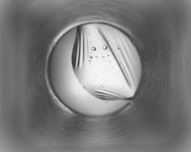 X0000064751518200603031720