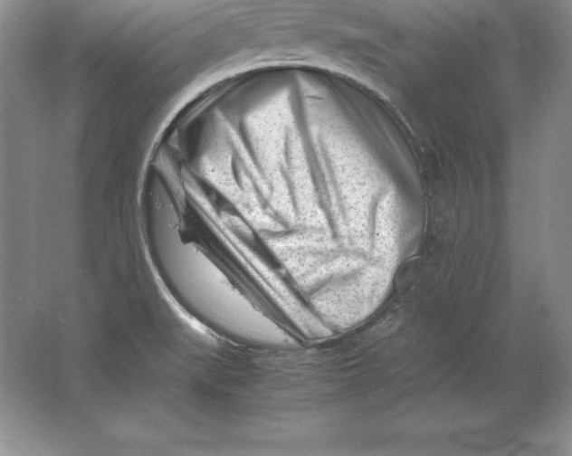 X0000064751519200603031720