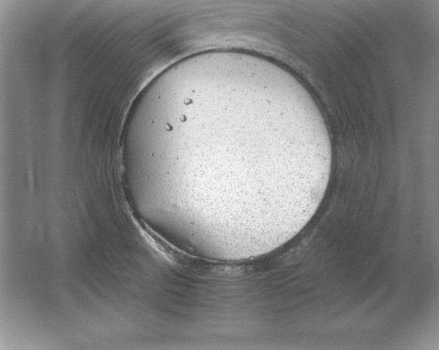 X0000064751521200603031720