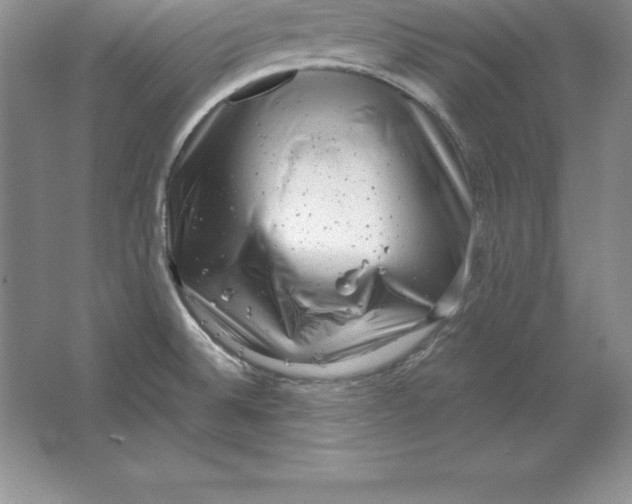 X0000064751524200603031720