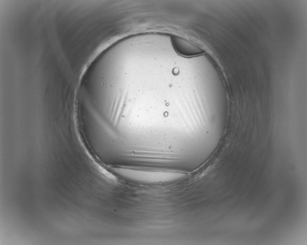 X0000064751525200603031720