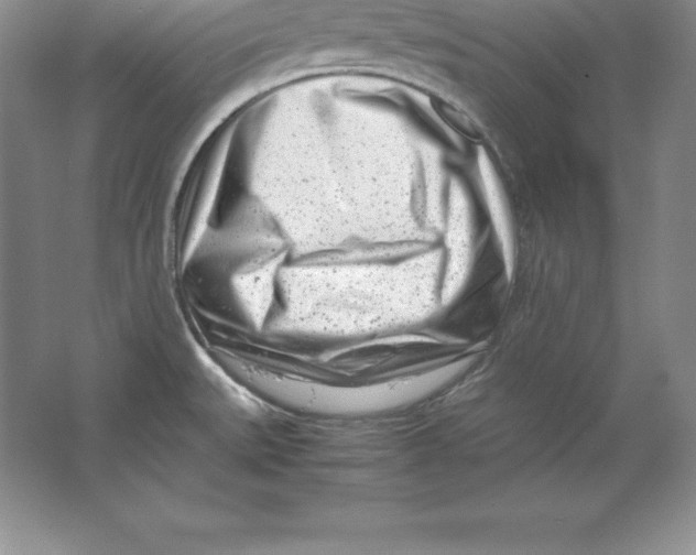 X0000064751527200603031720