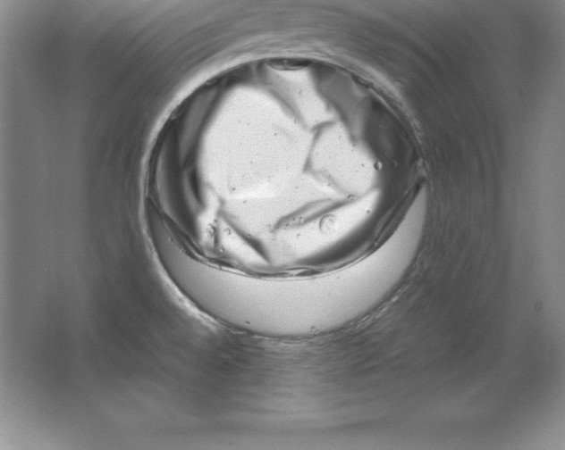 X0000064751528200603031720