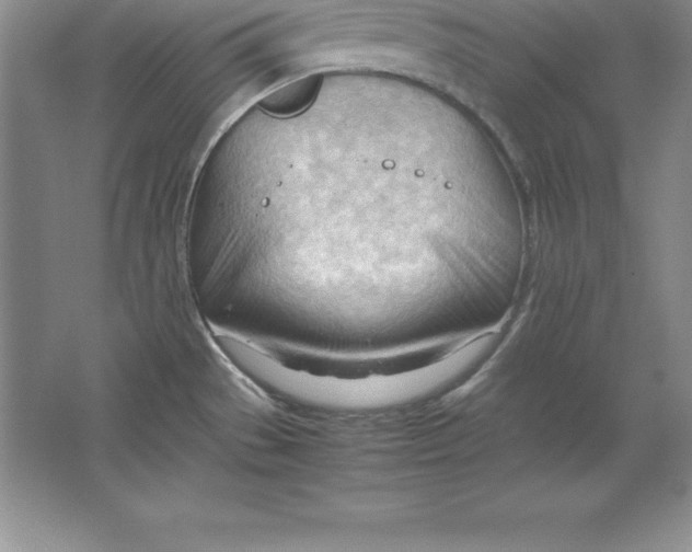 X0000064751529200603031720