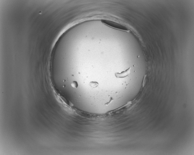 X0000064751530200603031720