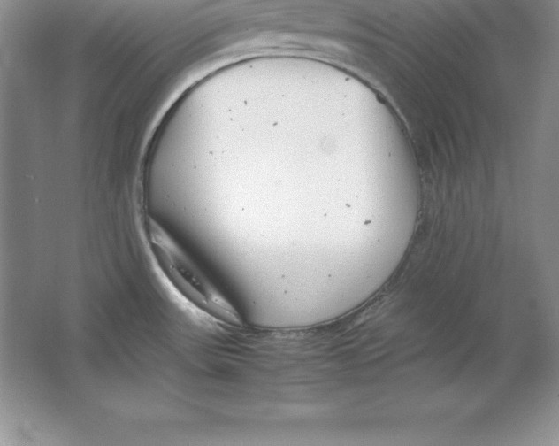 X0000064751531200603031720