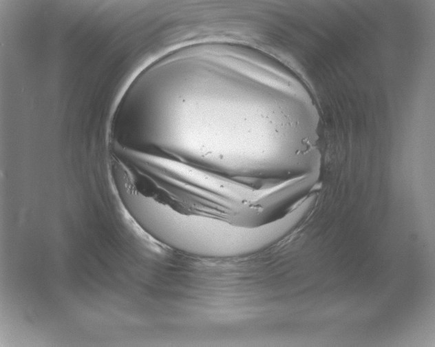 X0000064751532200603031720