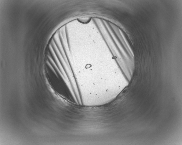 X0000064751534200603031720