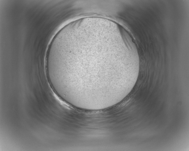 X0000064751535200603031720