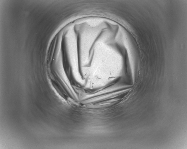 X0000064751536200603031720