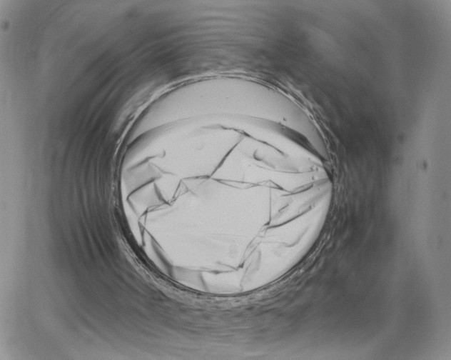 X0000064750002200603131355