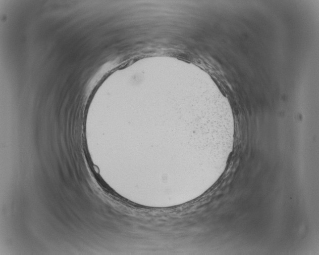 X0000064750003200603131355