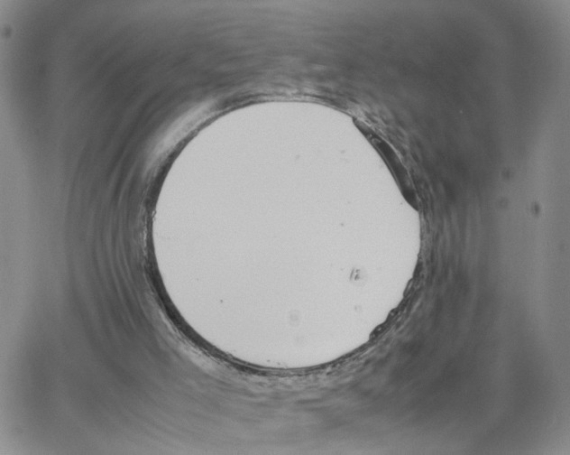 X0000064750005200603131355