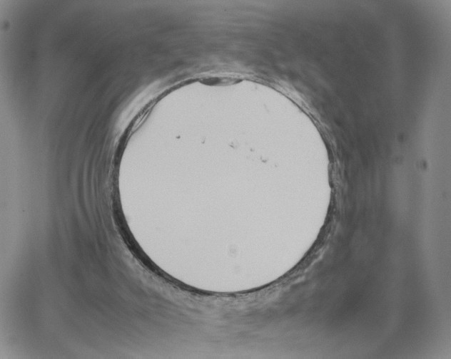 X0000064750007200603131355