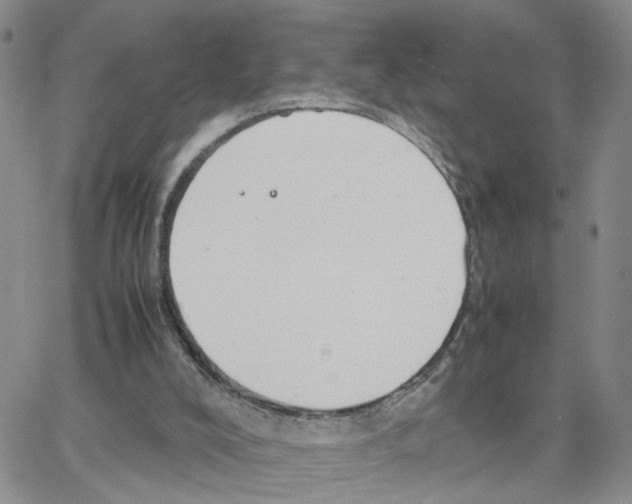 X0000064750008200603131355