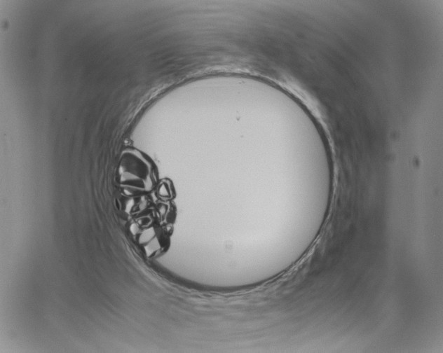 X0000064750009200603131355