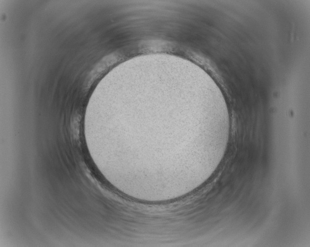 X0000064750010200603131355