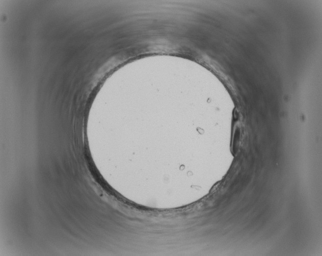 X0000064750011200603131355