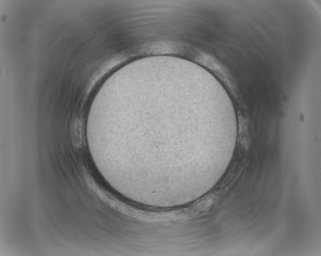 X0000064750012200603131355