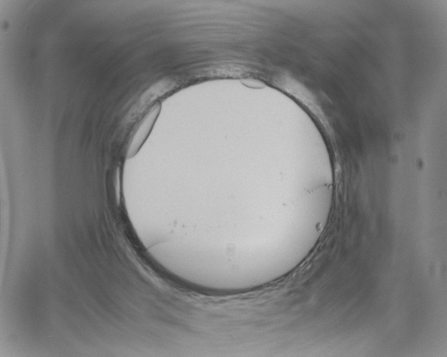 X0000064750013200603131355