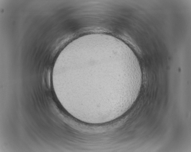 X0000064750014200603131355