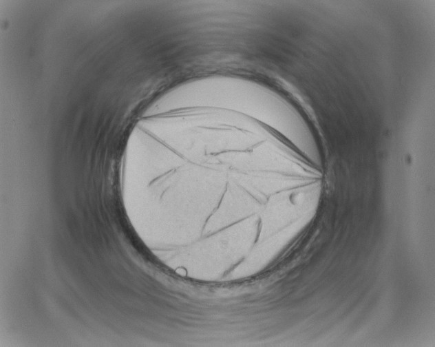 X0000064750018200603131355