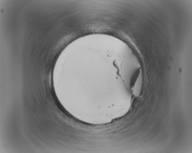 X0000064750019200603131355