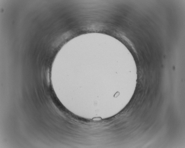 X0000064750020200603131355