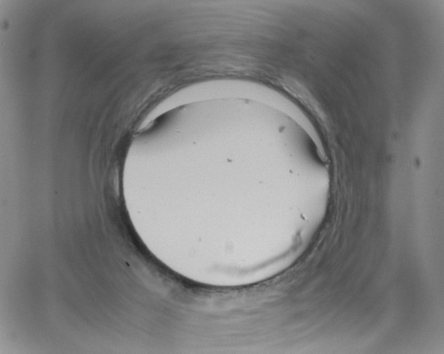 X0000064750021200603131355