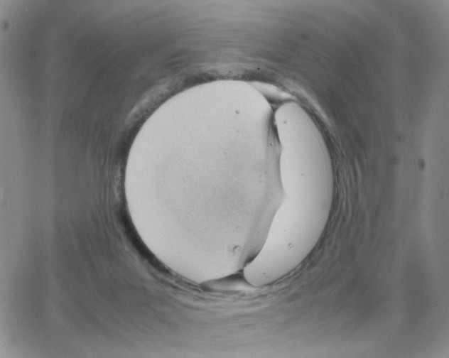 X0000064750023200603131355