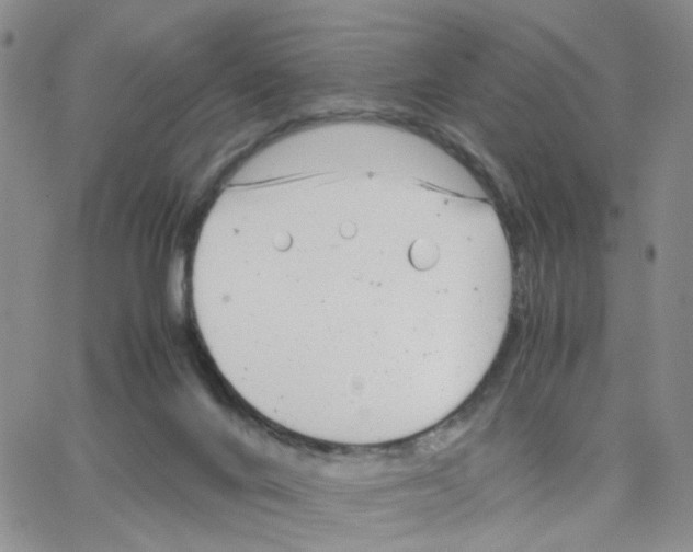 X0000064750024200603131355