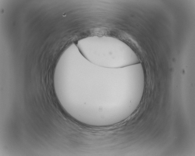 X0000064750025200603131355