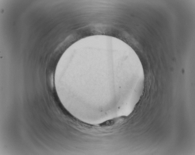 X0000064750027200603131355