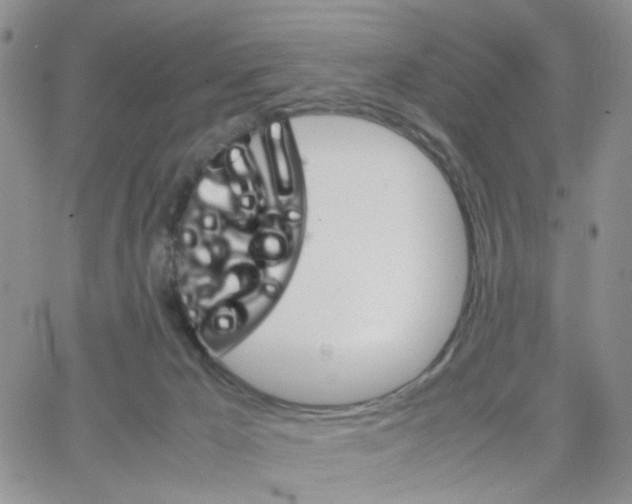 X0000064750029200603131355