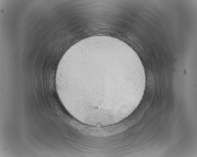 X0000064750030200603131354