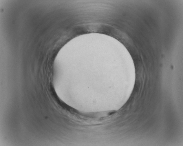 X0000064750031200603131354