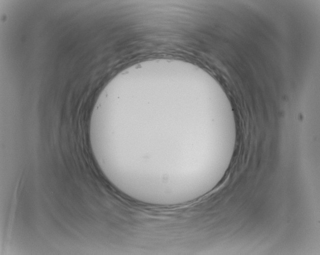 X0000064750033200603131354